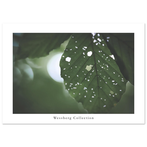 38c22a30-98b8-4ef4-82b7-e547b5ad591b