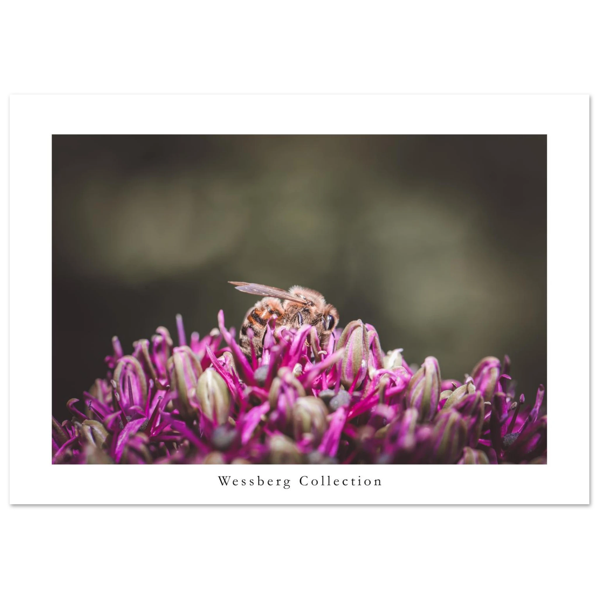 536ef7b8-20b1-434e-a299-8e729e88fc4f