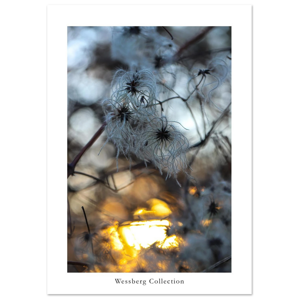 978197fc-4f3e-4c2f-a877-eb47dade4924