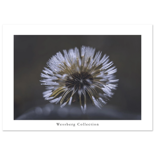 e962f859-8dbe-4e58-8b5a-25e21cfe0bbd